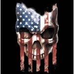American Flag Skull 